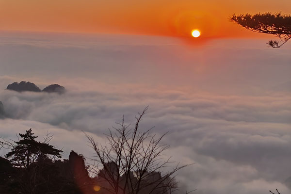 沈阳企业法律顾问的职责：护航企业稳健发展的法律守护者