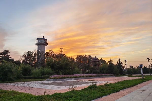 失踪人口寻找服务流程解析：专业助您找回亲友