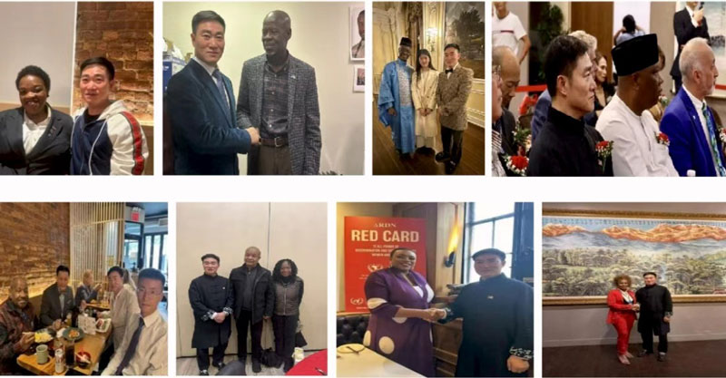 世界艺术家协会正式启动联合国 NGO 咨商地位申办