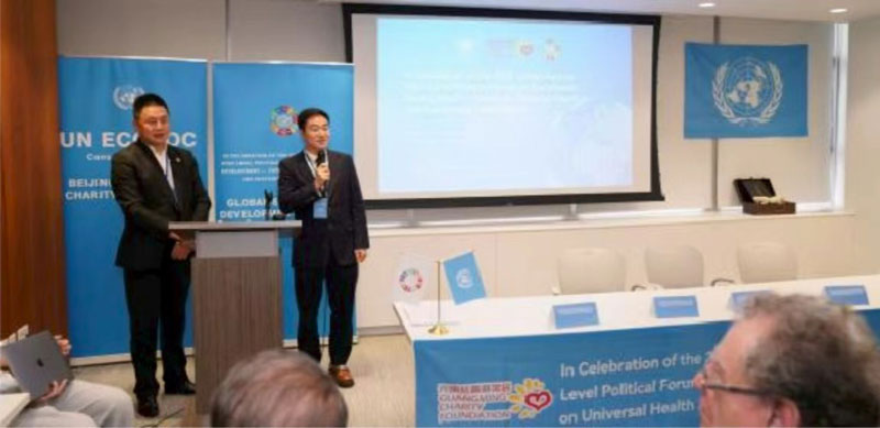 世界艺术家协会正式启动联合国 NGO 咨商地位申办