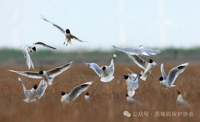 今非昔比南小河 今非昔比南小河
