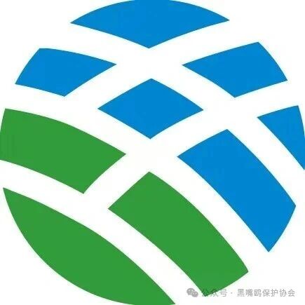 担起沉甸甸的生态责任——辽宁振兴生态集团 担起沉甸甸的生态责任——辽宁振兴生态集团